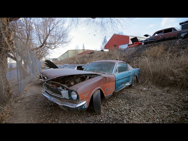 Steve Spots a 1965 Mustang 2+2 Fastback - Junkyard Gold Preview Ep. 4