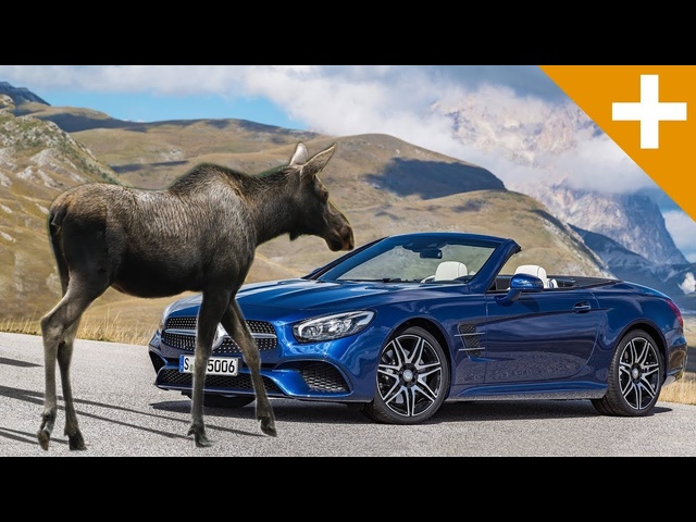 How A Moose Nearly Ended Mercedes - Carfection +