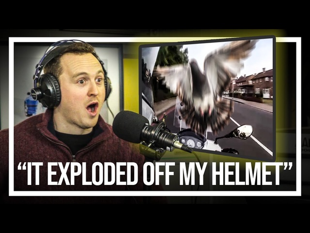 How A Dumb Pigeon Nearly Ended Me | Your Car Stories