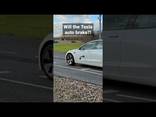 Will a Tesla auto brake for a (toy) dog?! ????