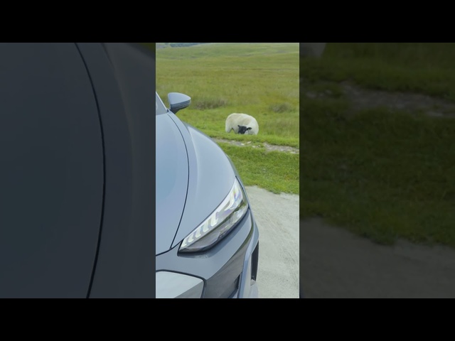 <em>Audi</em> e-tron GT road trip: the highlights | Autocar | Promoted #shorts #ytshorts