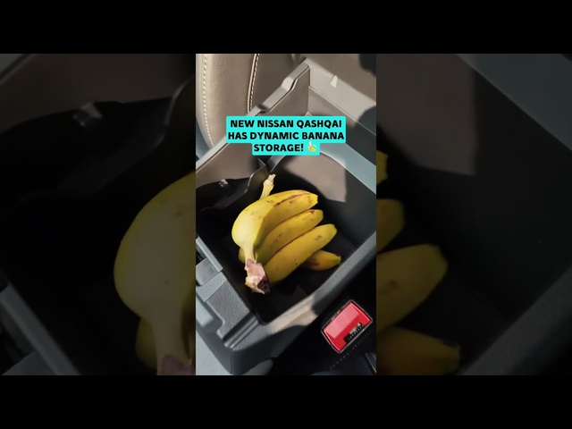 Look at all that banana storage!