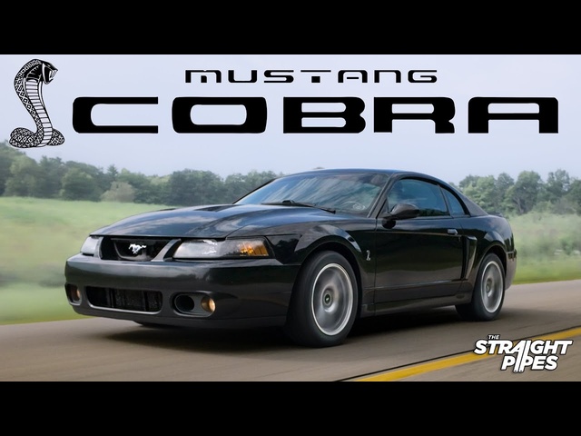 I Bought my High School Dream Car - 2003 Ford Mustang SVT Terminator Cobra Review